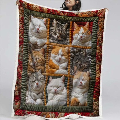 Sleeping Royal Cat Blanket - D200 - Premium Blanket-Jolura