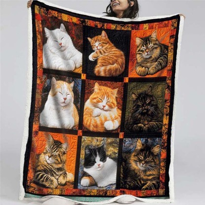 Sleeping Cat Collection Blanket - D251 - Premium Blanket-Jolura