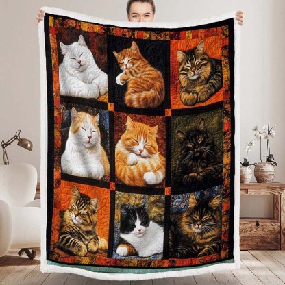 Sleeping Cat Collection Blanket - D251 - Premium Blanket-Jolura
