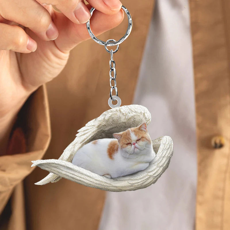 Sleeping Angel Acrylic Keychain Exotic Shorthair Cat SA112-Jolura
