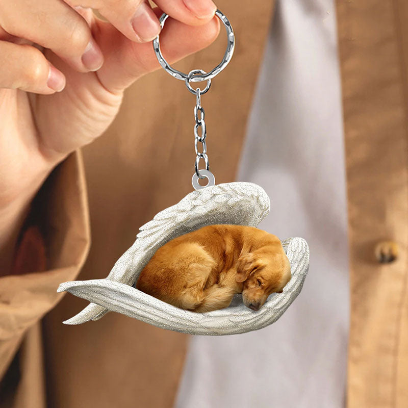 Sleeping Angel Acrylic Keychain Golden Retriever SA004-Jolura