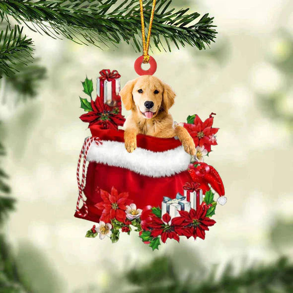 Golden Retriever In Gift Bag Christmas Ornament GB009-Jolura
