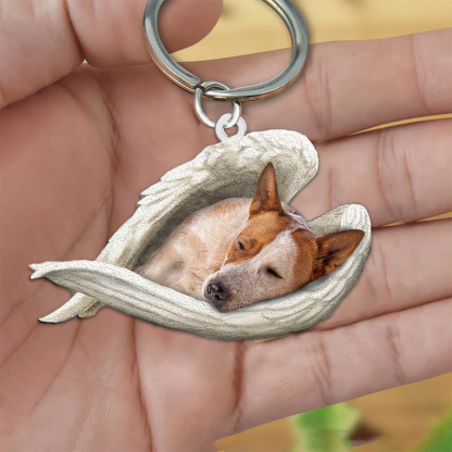 Sleeping Angel Acrylic Keychain Red Heeler SA158-Jolura