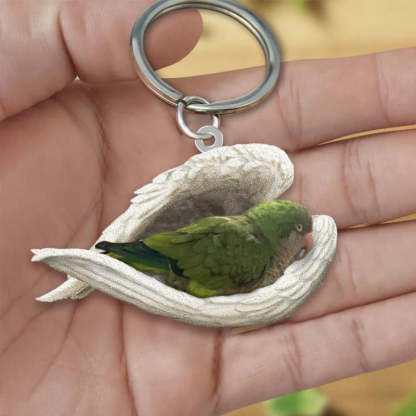 Sleeping Angel Acrylic Keychain Quacker Parrot SA243-Jolura