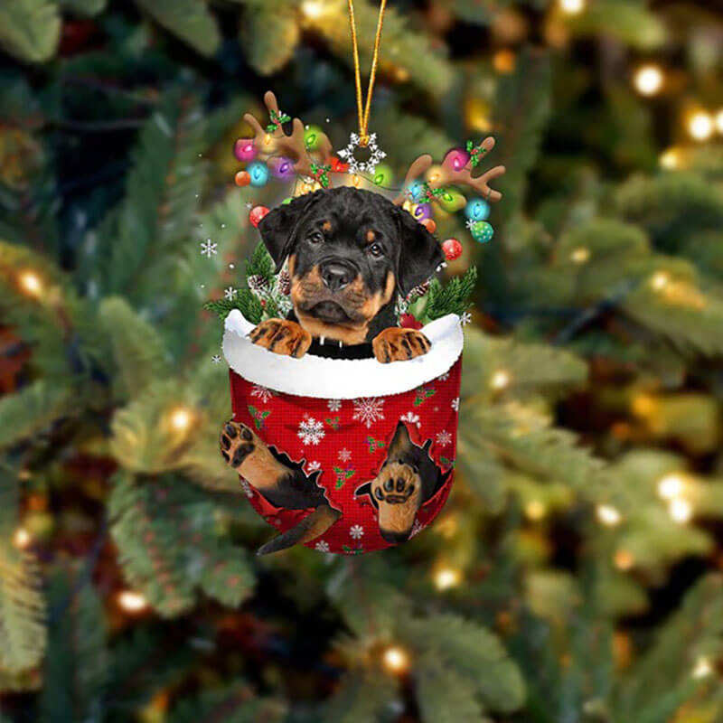 Rottweiler In Snow Pocket Christmas Ornament SP012-Jolura