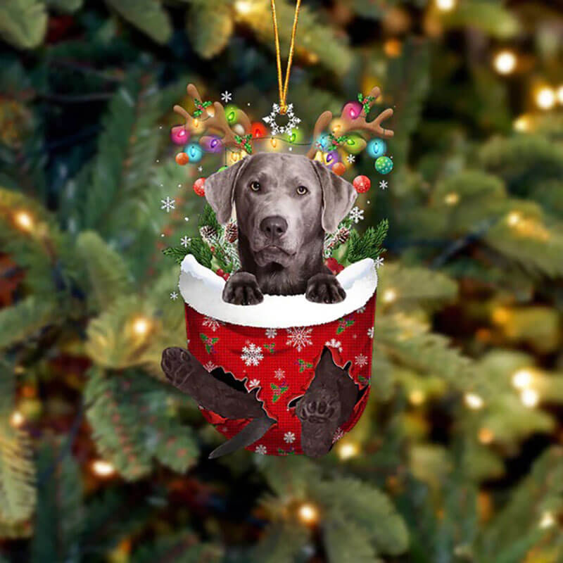 Labrador In Snow Pocket Christmas Ornament SP016-Jolura