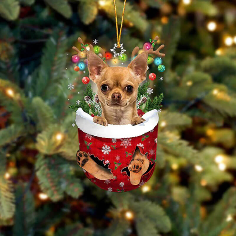 Chihuahua In Snow Pocket Christmas Ornament SP025-Jolura