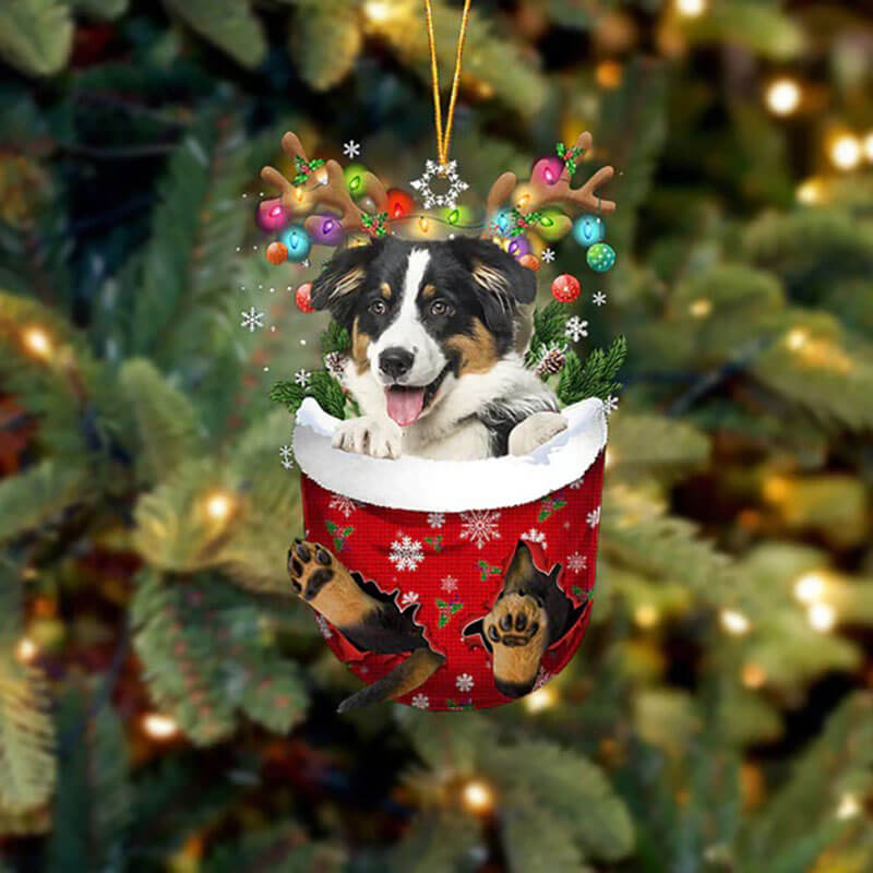 Australian Shepherd In Snow Pocket Christmas Ornament SP027-Jolura
