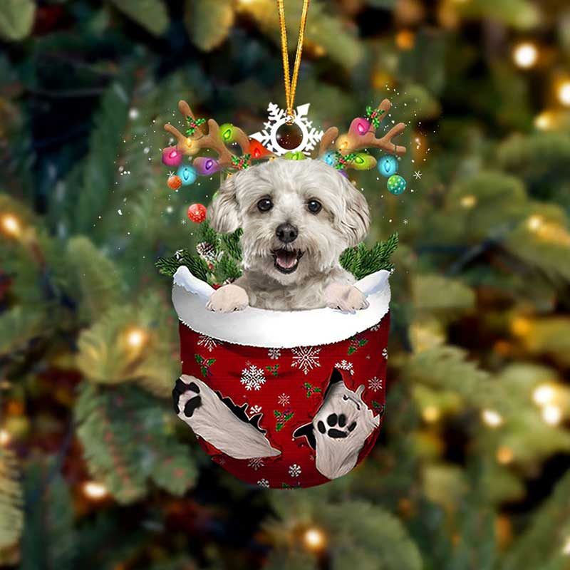 Havanese White In Snow Pocket Christmas Ornament SP028-Jolura