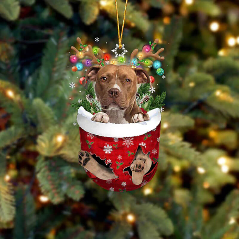 Pitbull In Snow Pocket Christmas Ornament SP033-Jolura
