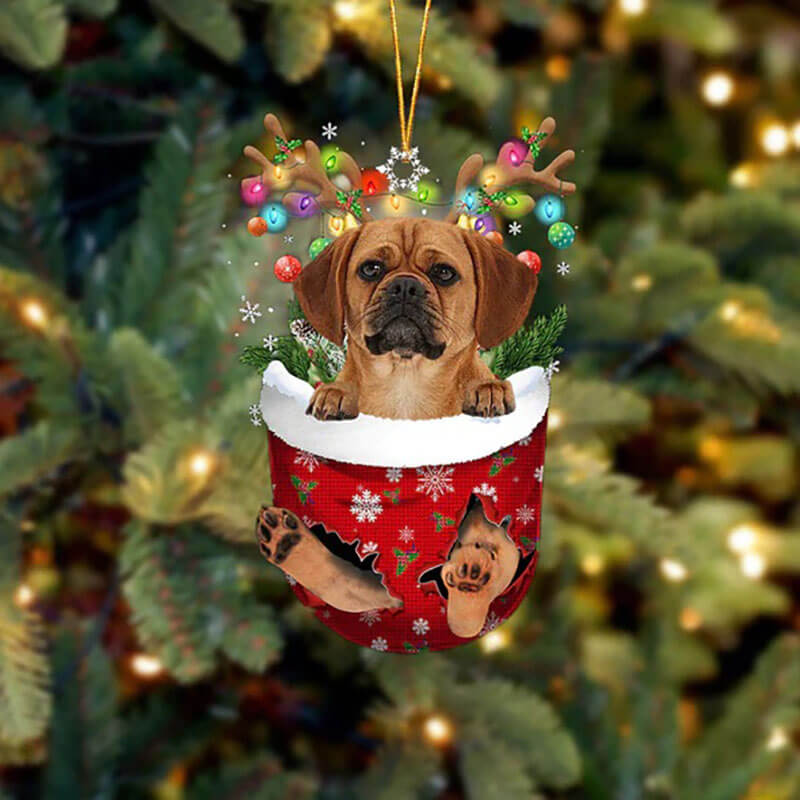 Puggle In Snow Pocket Christmas Ornament SP037-Jolura