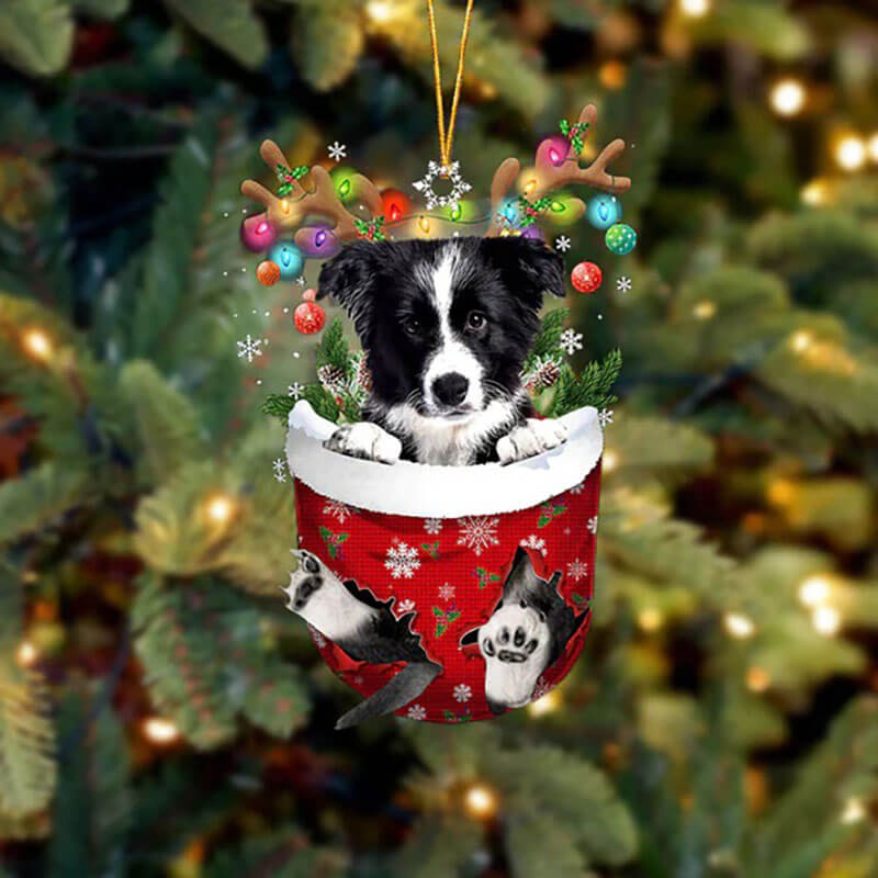 Border Collie In Snow Pocket Christmas Ornament SP041-Jolura