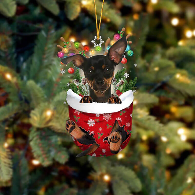 Miniature Pinscher In Snow Pocket Christmas Ornament SP049-Jolura
