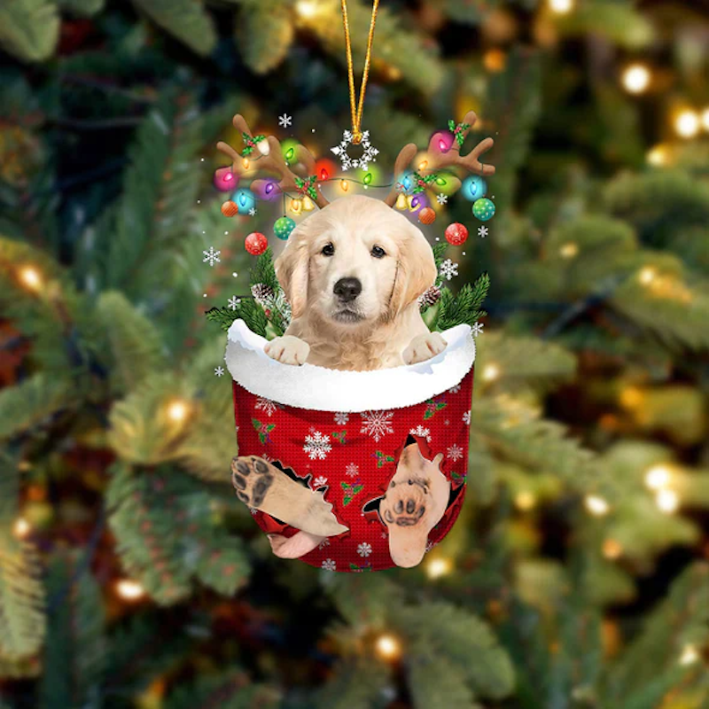 Golden Retriever In Snow Pocket Christmas Ornament SP051-Jolura