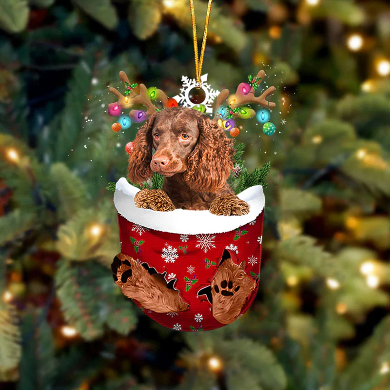 Boykin Spaniel In Snow Pocket Christmas Ornament SP053-Jolura