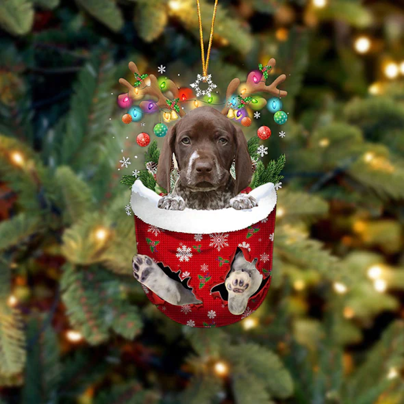German Shorthaired Pointer In Snow Pocket Christmas Ornament SP056-Jolura