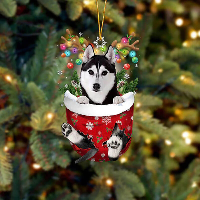 Husky In Snow Pocket Christmas Ornament SP058-Jolura