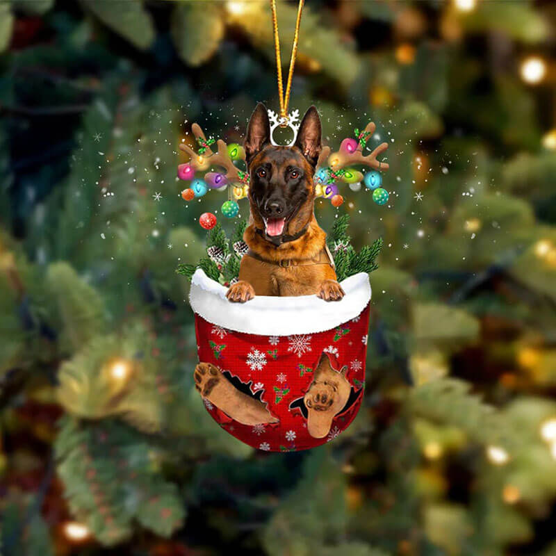Belgain Malinois In Snow Pocket Christmas Ornament SP059-Jolura