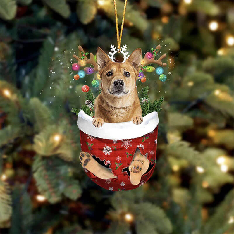 Carolina Dog In Snow Pocket Christmas Ornament SP063-Jolura