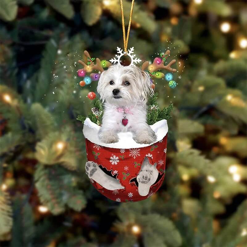 Maltese And Yorkie Mix In Snow Pocket Christmas Ornament SP064-Jolura