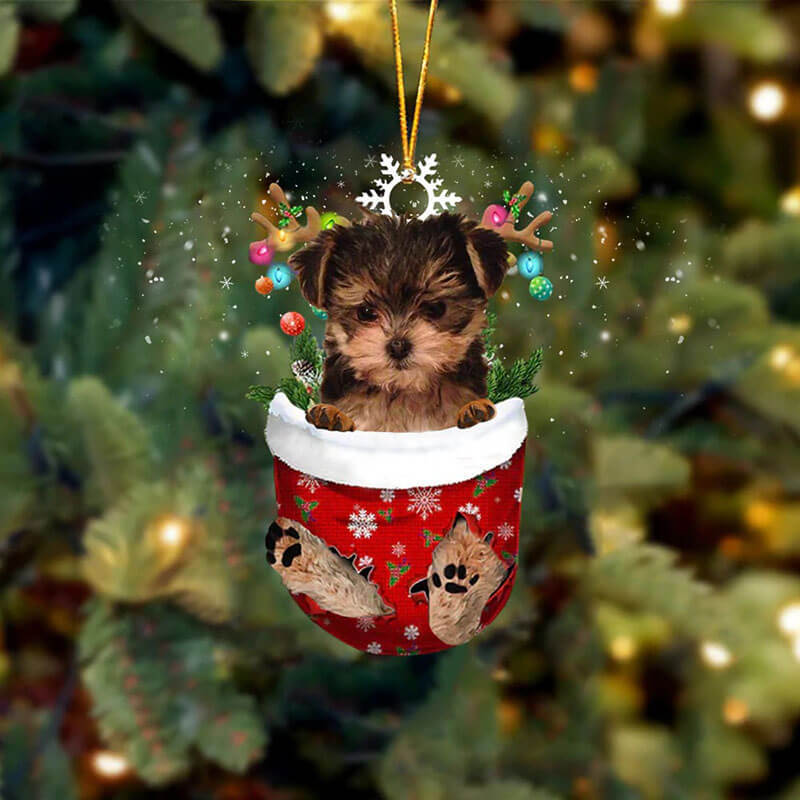 Maltese And Yorkie Mix In Snow Pocket Christmas Ornament SP067-Jolura