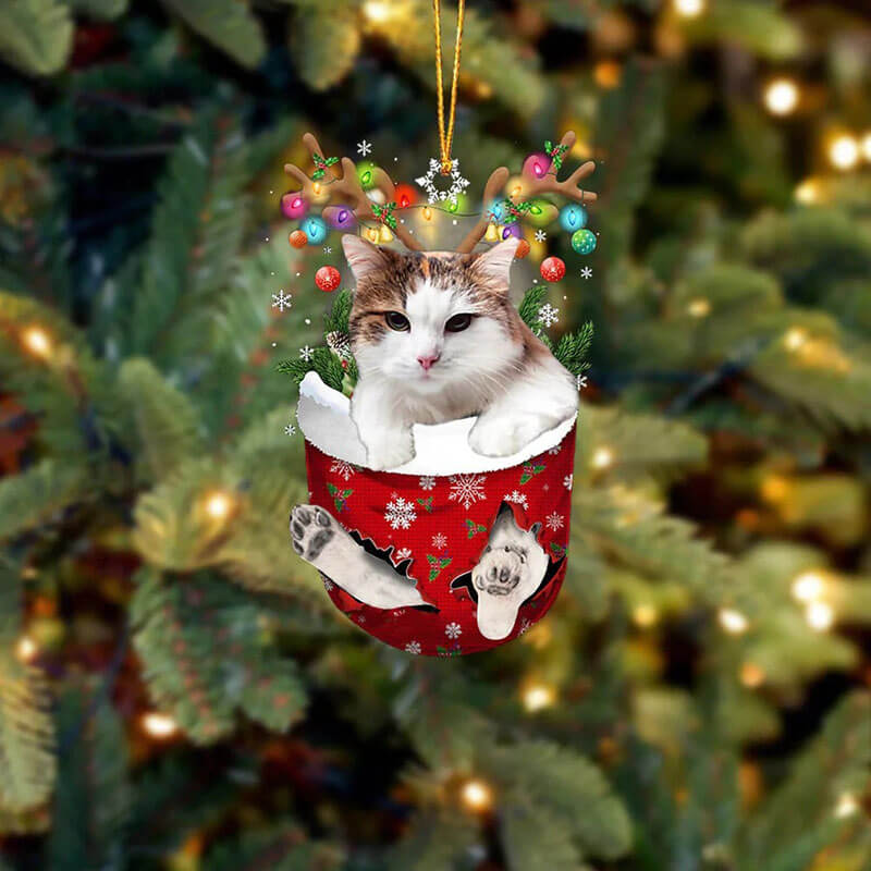 Cat In Snow Pocket Christmas Ornament SP069-Jolura