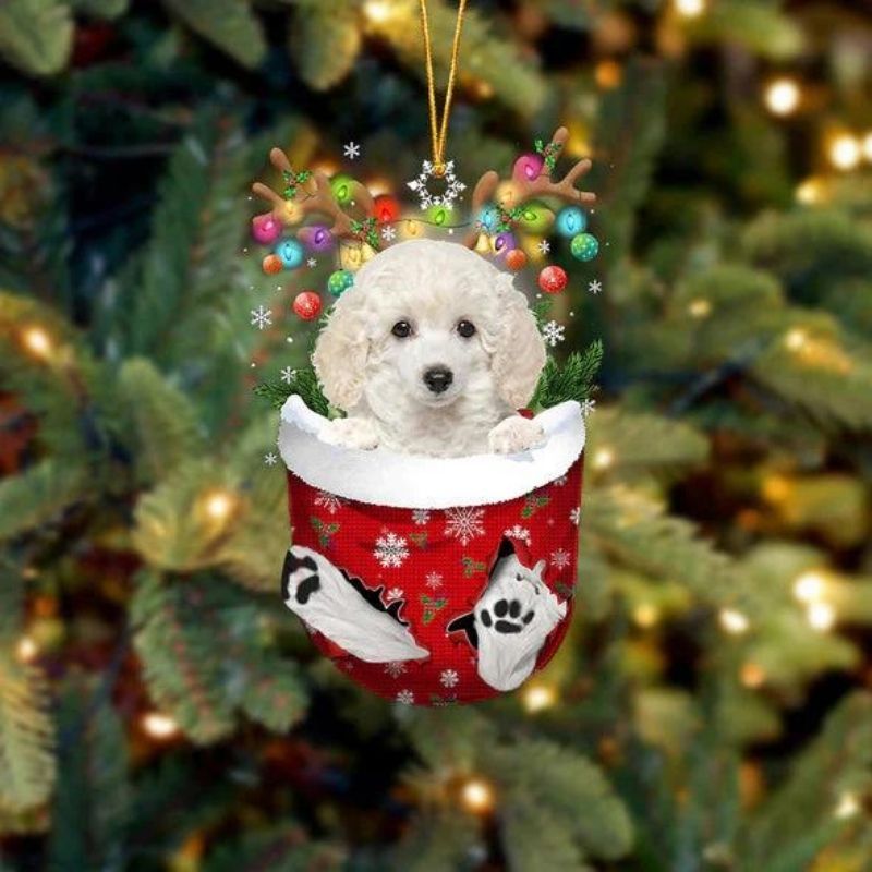 Toy Poodle In Snow Pocket Christmas Ornament SP074-Jolura