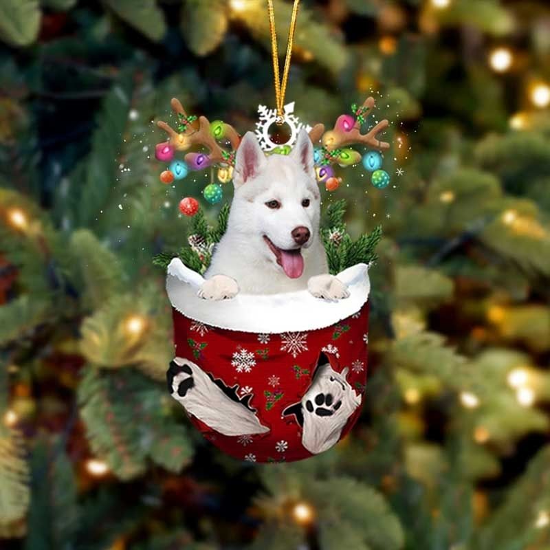 White Husky In Snow Pocket Christmas Ornament SP078-Jolura