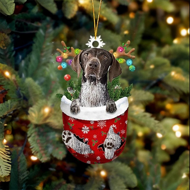 Blue Tick Hound Dog In Snow Pocket Christmas Ornament SP080-Jolura