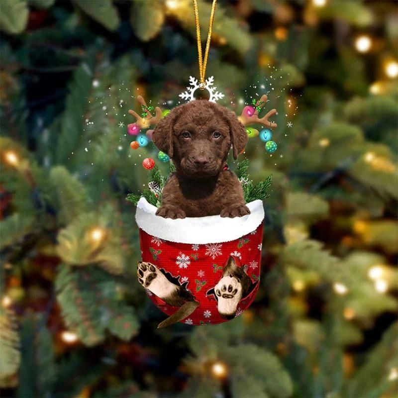 Chesapeake Bay Retrievers In Snow Pocket Christmas Ornament SP083-Jolura