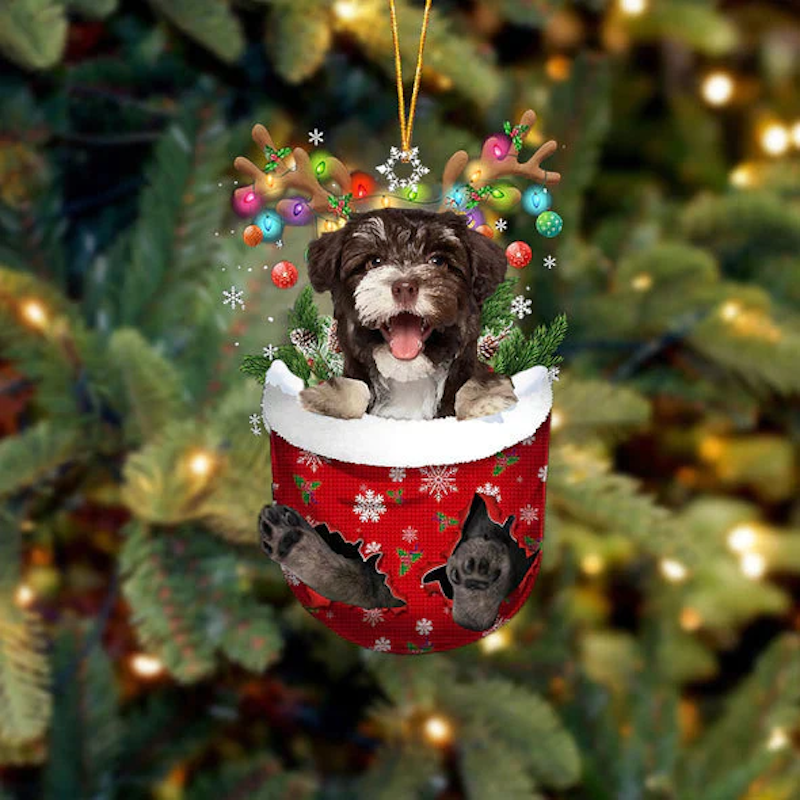 Havanese In Snow Pocket Christmas Ornament SP093-Jolura