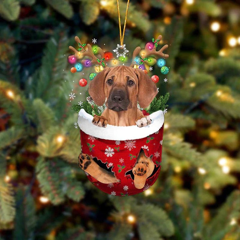 Rhodesian Ridgeback In Snow Pocket Christmas Ornament SP098-Jolura