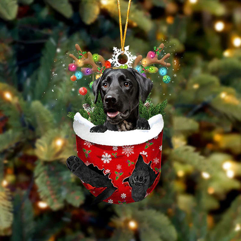 Black Dalmatian In Snow Pocket Christmas Ornament SP104-Jolura