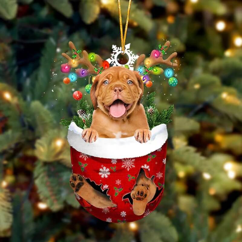 Dogue De Bordeaux In Snow Pocket Christmas Ornament SP109-Jolura