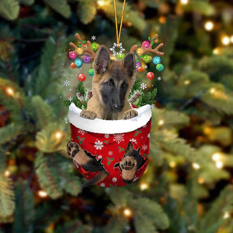Belgian Tervuren In Snow Pocket Christmas Ornament SP113-Jolura
