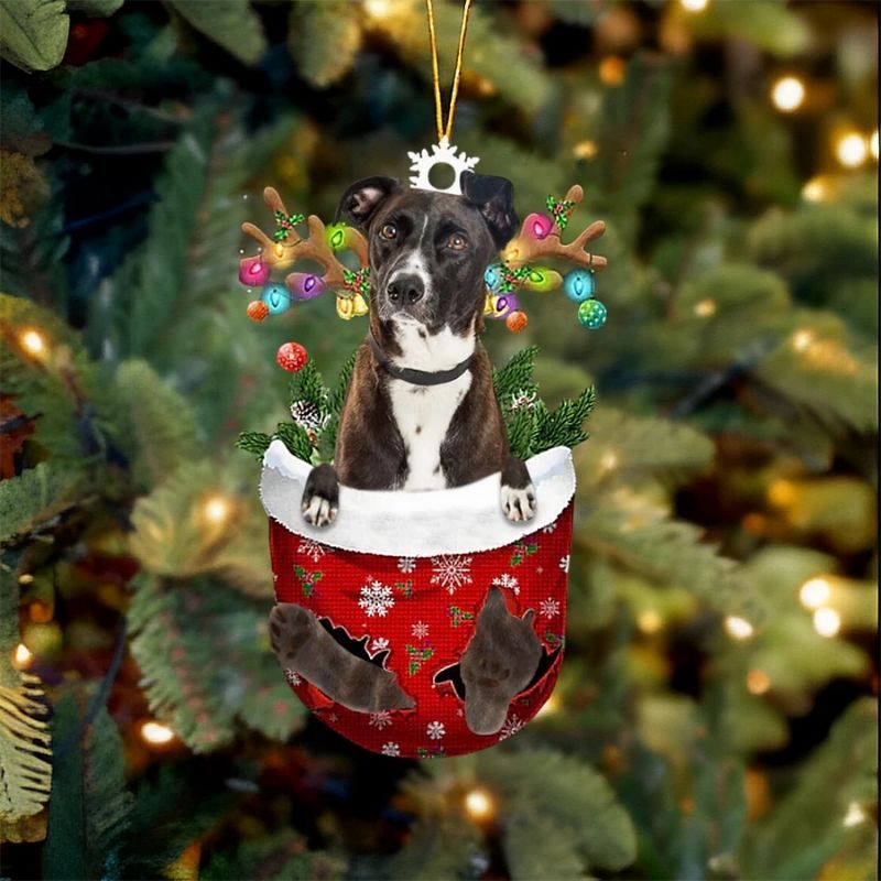 Mountain Cur In Snow Pocket Christmas Ornament SP121-Jolura