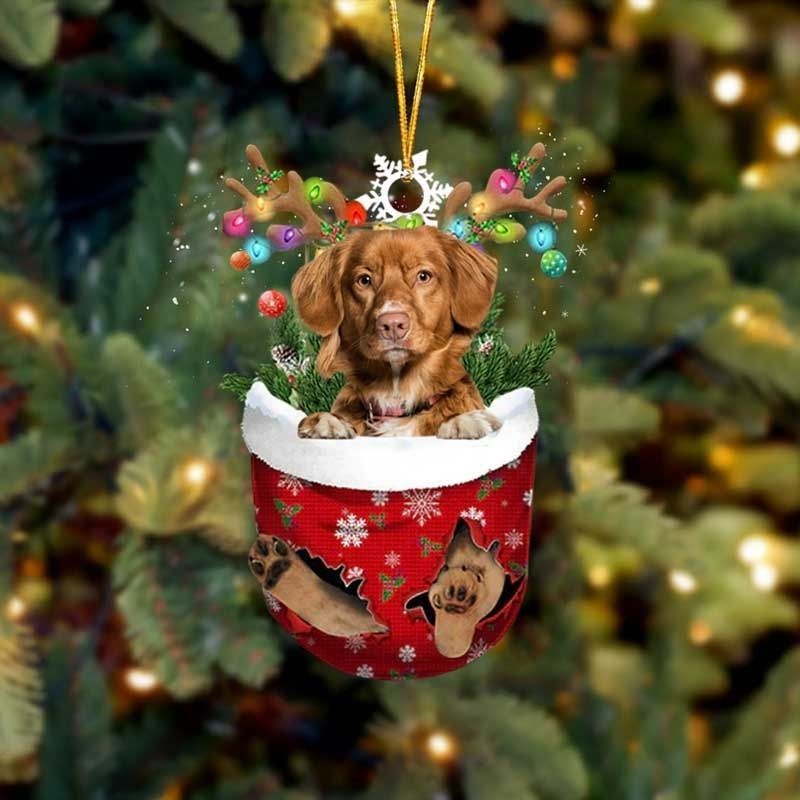 Nova Scotia Duck Toller In Snow Pocket Christmas Ornament SP135-Jolura