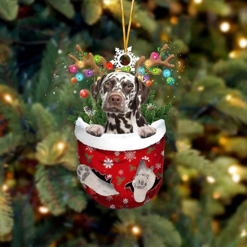 Brown Dalmatian In Snow Pocket Christmas Ornament SP136-Jolura