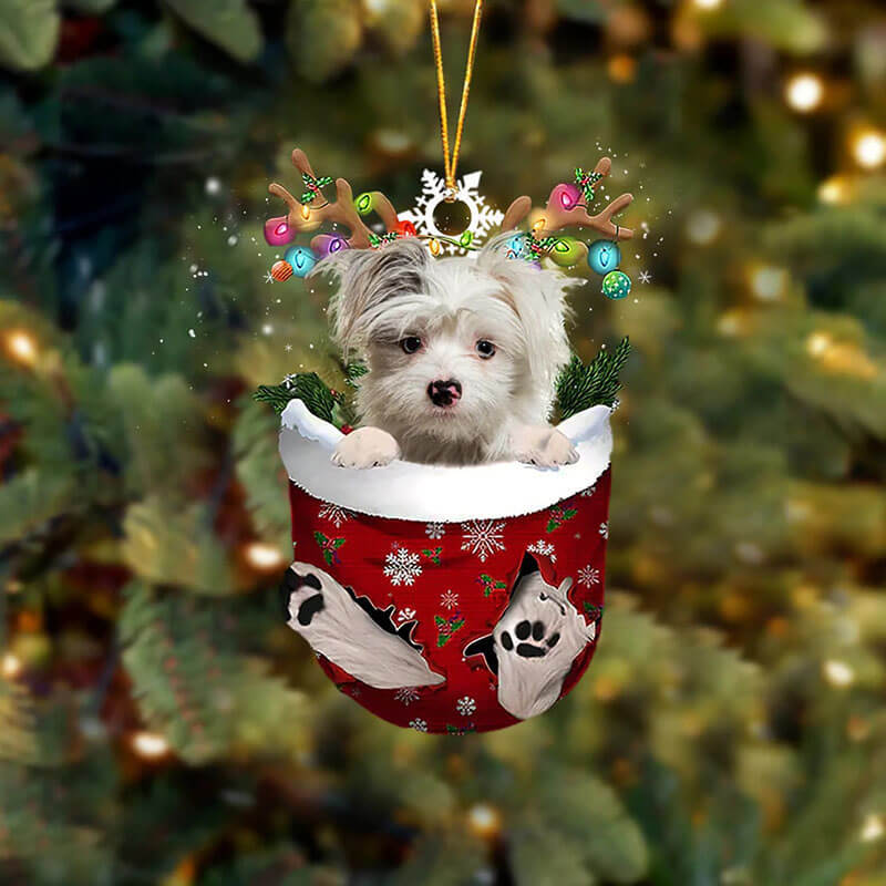 Yorkie Pom In Snow Pocket Christmas Ornament SP142-Jolura