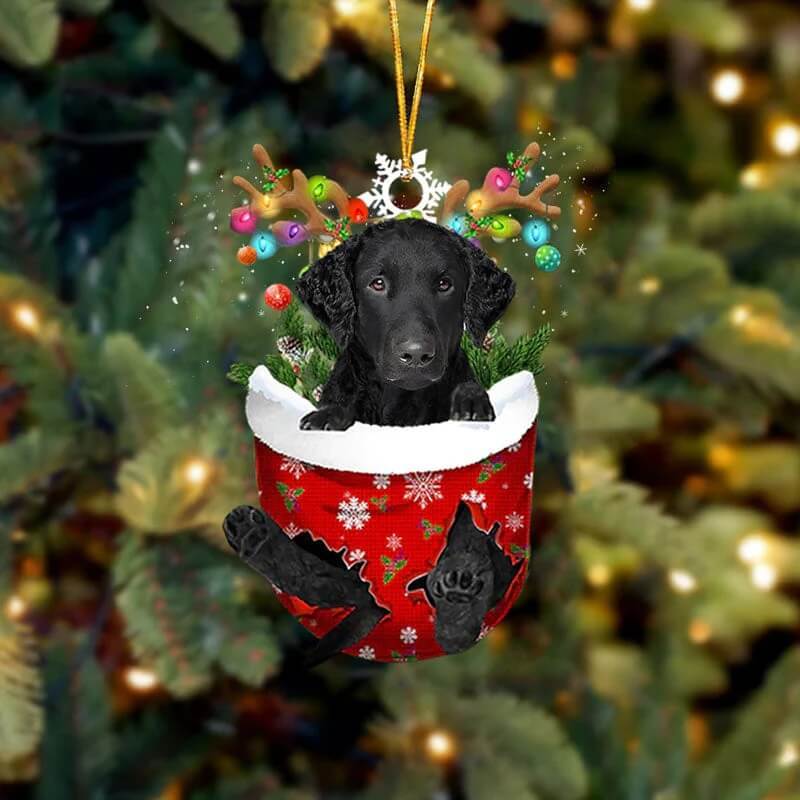 Curly Coated Retriever In Snow Pocket Christmas Ornament SP146-Jolura