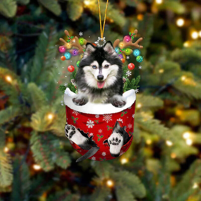 Alaskan Klee Kai In Snow Pocket Christmas Ornament SP152-Jolura