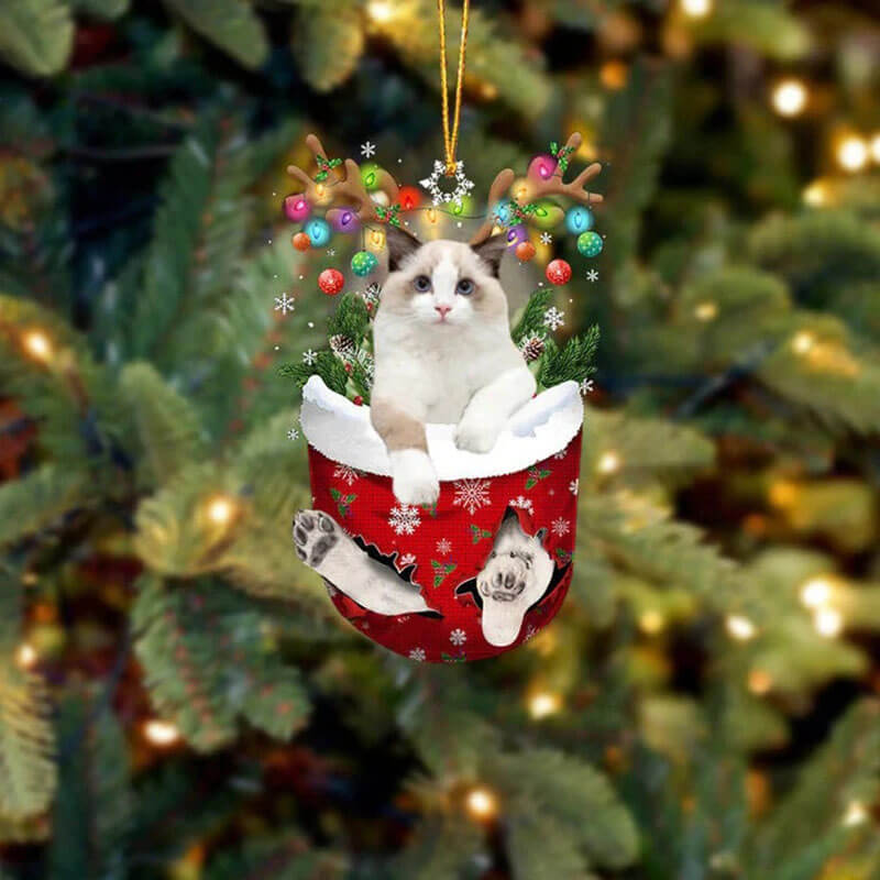 Ragdoll Cat In Snow Pocket Christmas Ornament SP153-Jolura