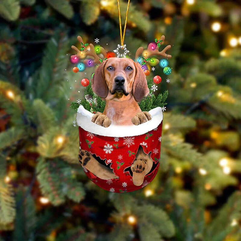 Redbone Coonhound In Snow Pocket Christmas Ornament SP154-Jolura