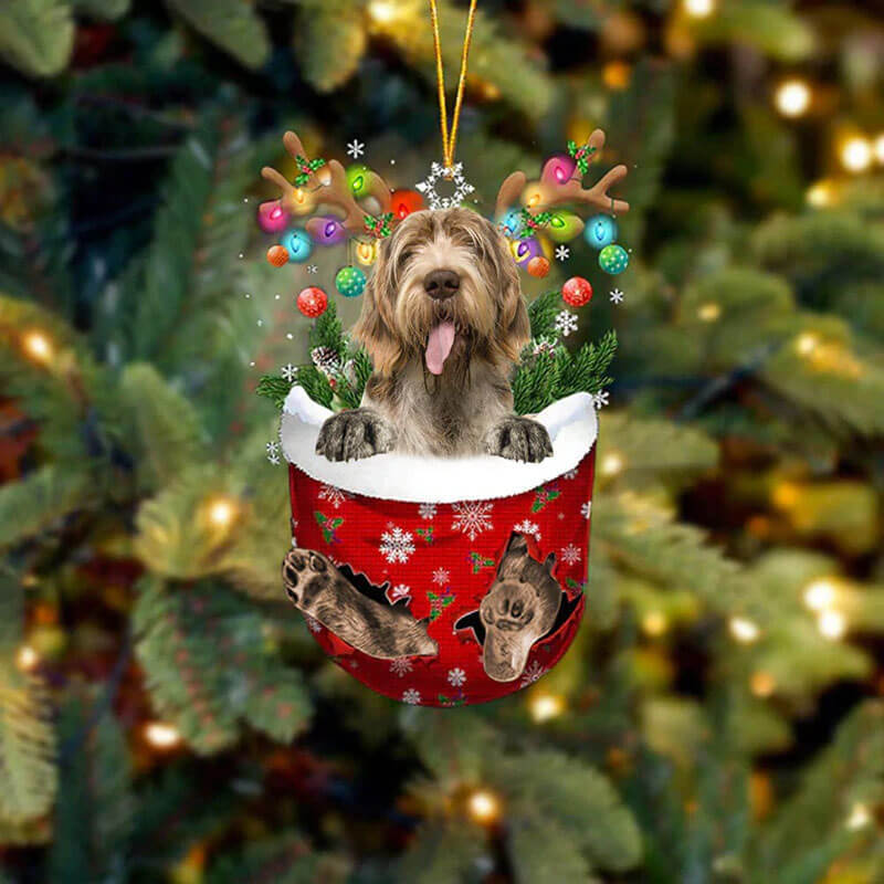 Italian Spinone In Snow Pocket Christmas Ornament SP155-Jolura