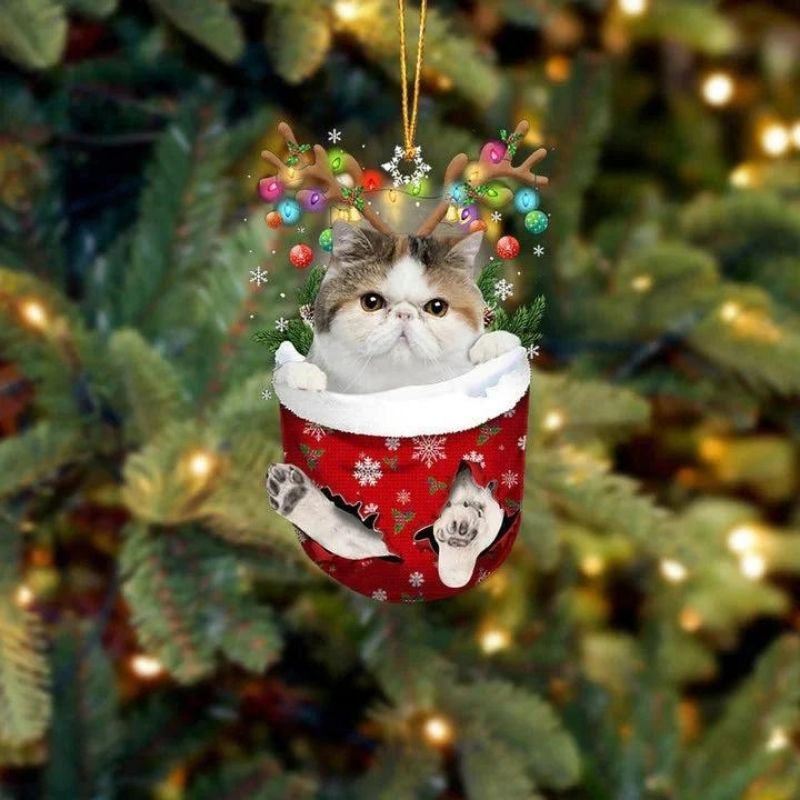 Cat In Snow Pocket Christmas Ornament SP192-Jolura