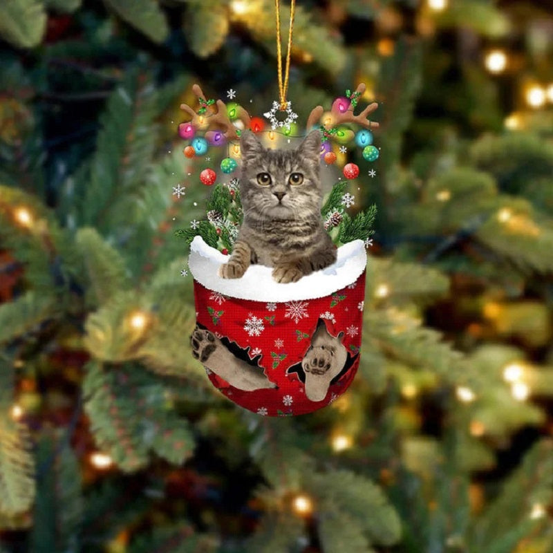 European Shorthair In Snow Pocket Christmas Ornament SP200-Jolura