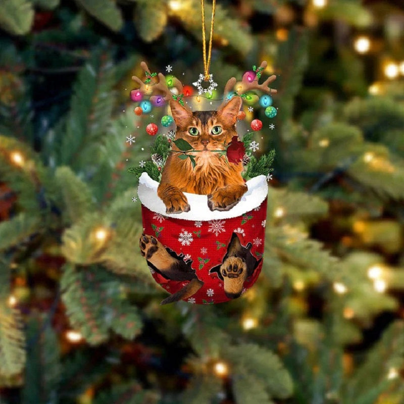 Somali Cat In Snow Pocket Christmas Ornament SP202-Jolura