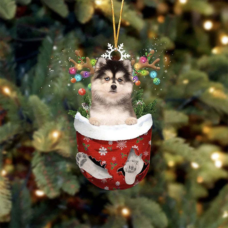 Pomsky In Snow Pocket Christmas Ornament SP211-Jolura