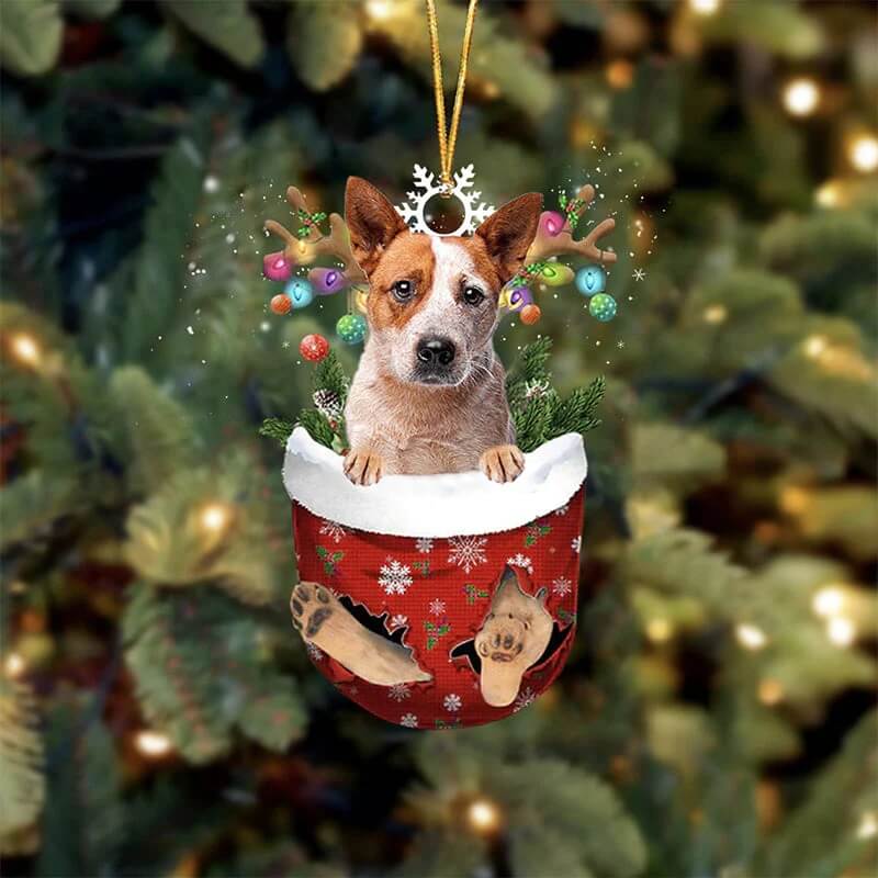 Red Heeler In Snow Pocket Christmas Ornament SP212-Jolura