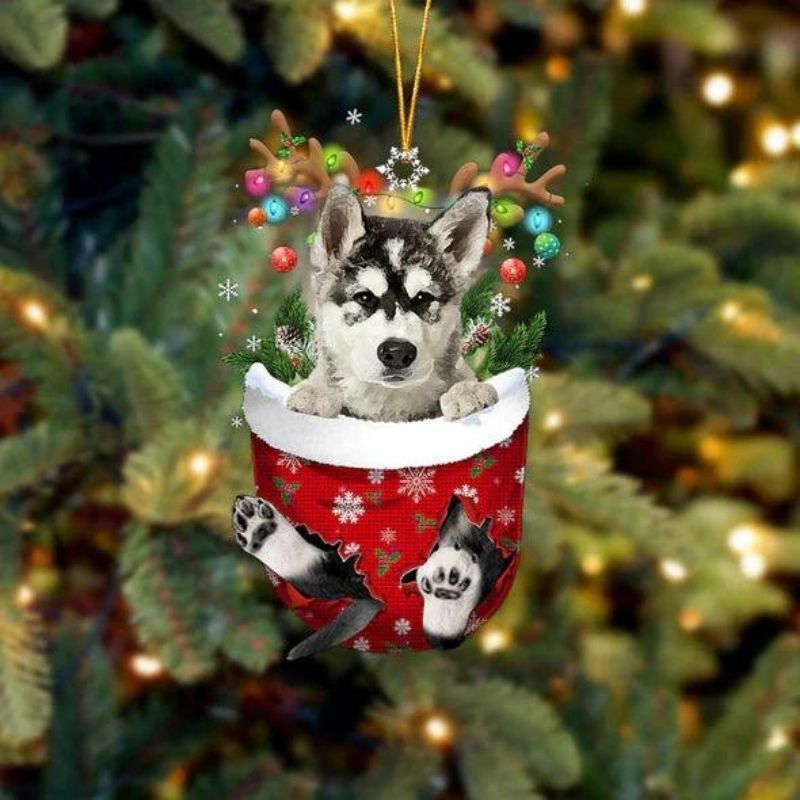 Alaskan Malamutes In Snow Pocket Christmas Ornament SP214-Jolura